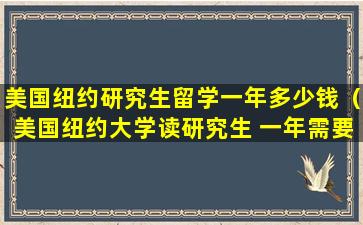 美国纽约研究生留学一年多少钱（美国纽约大学读研究生 一年需要好多费用）